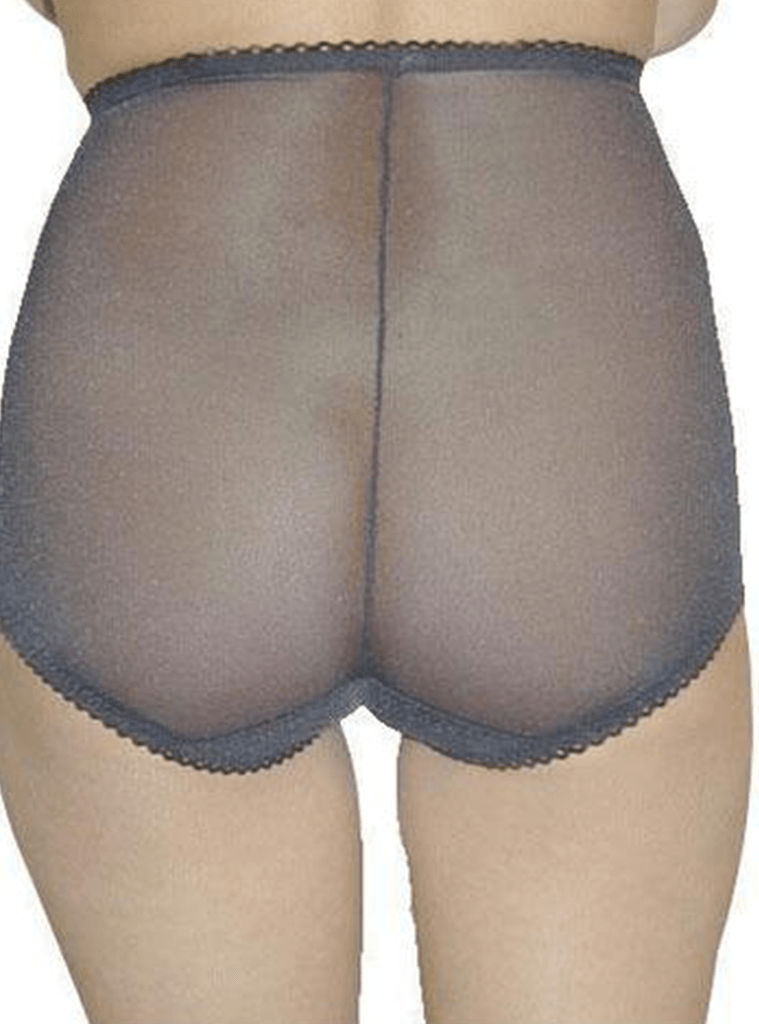 Rago Sheer Panty Brief Light To Moderate Shaping