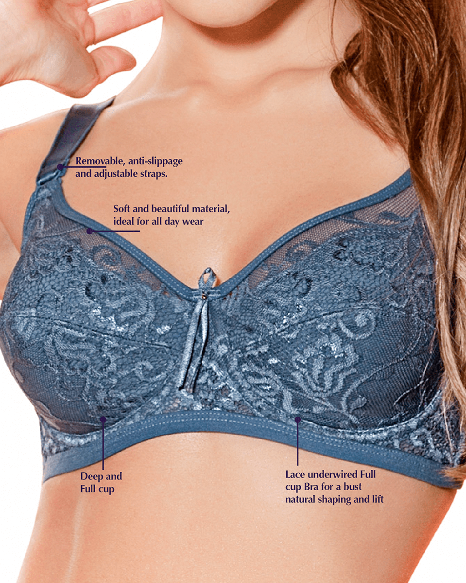 Siluet Sheer Lace Bra with Underwire